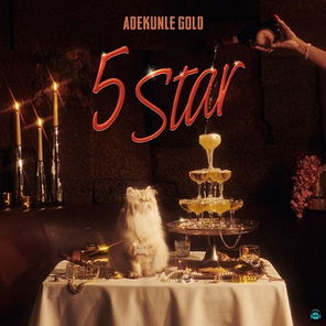 Adekunle Gold - 5 Star