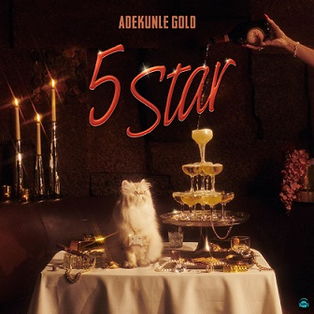 Adekunle Gold - 5 Star (Remix) ft Rick Ross