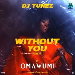 DJ Tunez - Without You (Remix) ft Omawumi