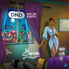 Dunnie - DND (Remix) ft Wildjay