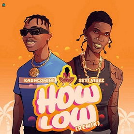 Kashcoming - How Low (Remix) ft Seyi Vibez