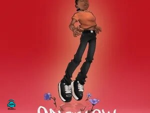 Lil Frosh - On The Low