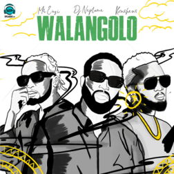 Mr Eazi - Walangolo ft DJ Neptune, Konshens