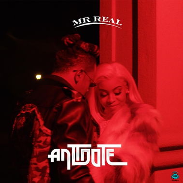 Mr Real - Antidote