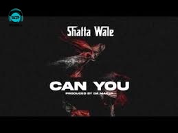 Shatta Wale - Can You