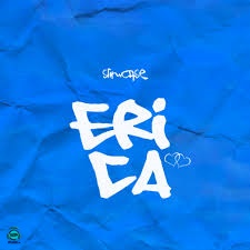Slimcase - Erica