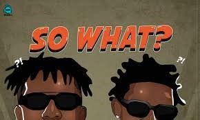 Tekno - So What ft Shallipopi